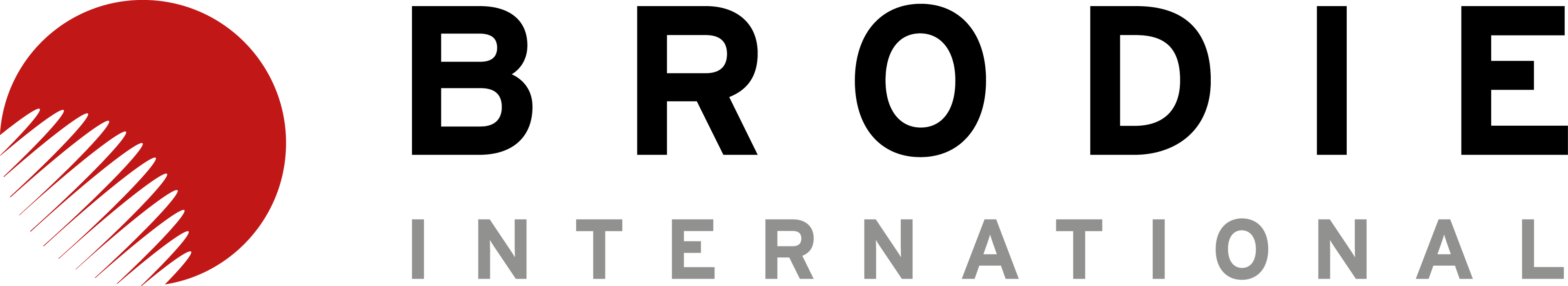 4509 - DUST SEAL