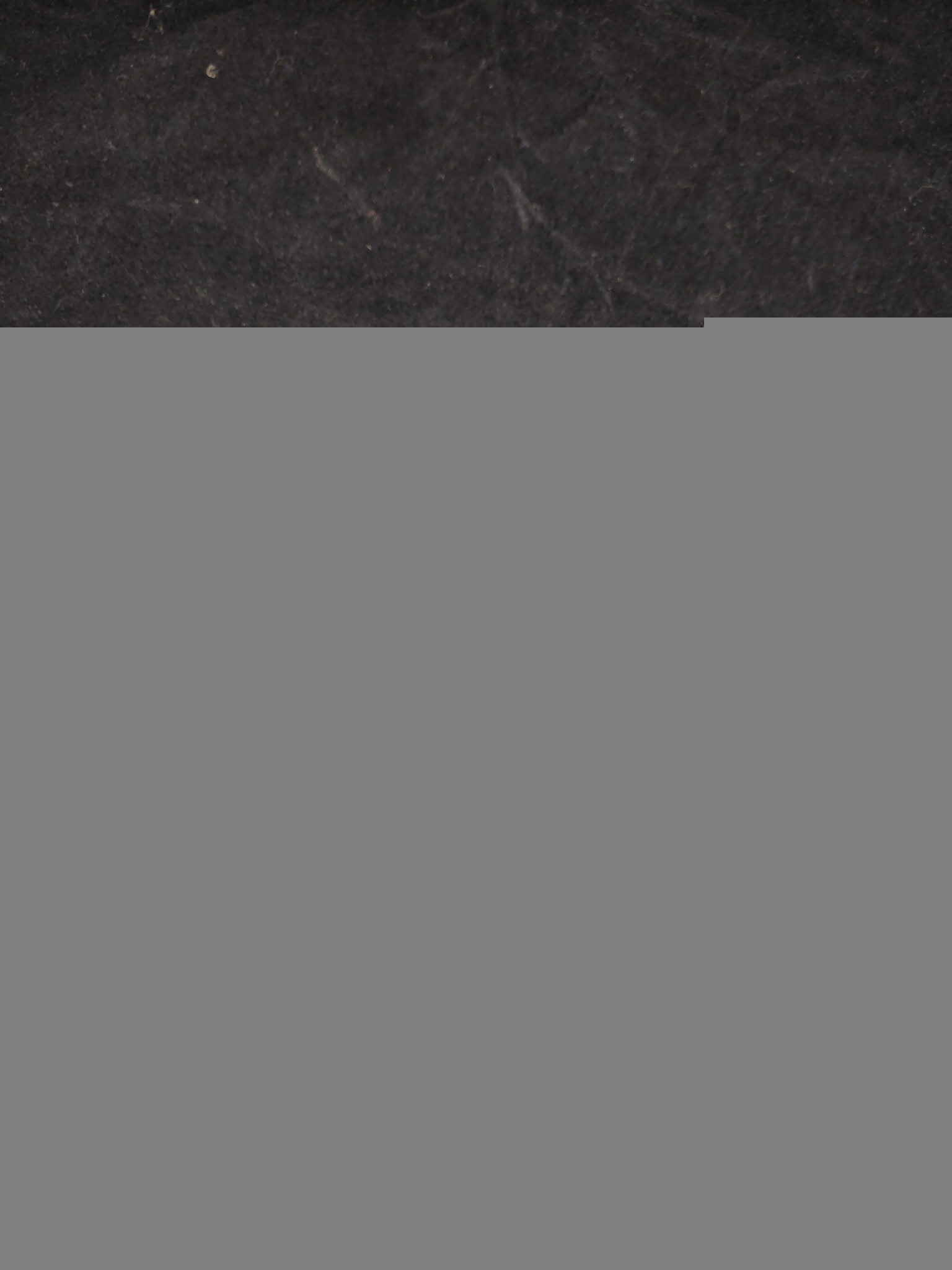 S084965 - PRINTED CIRCUIT BOARD XPU 2 RS232 OUTPUT + MODBUS